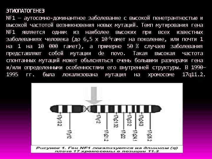 ЭТИОПАТОГЕНЕЗ NF 1 — аутосомно-доминантное заболевание с высокой пенетрантностью и высокой частотой возникновения новых