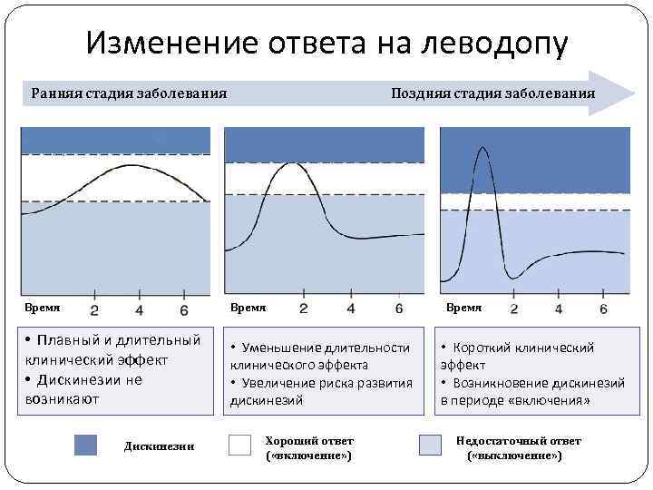 Изменение ответа на леводопу Ранняя стадия заболевания Поздняя стадия заболевания Время • Плавный и