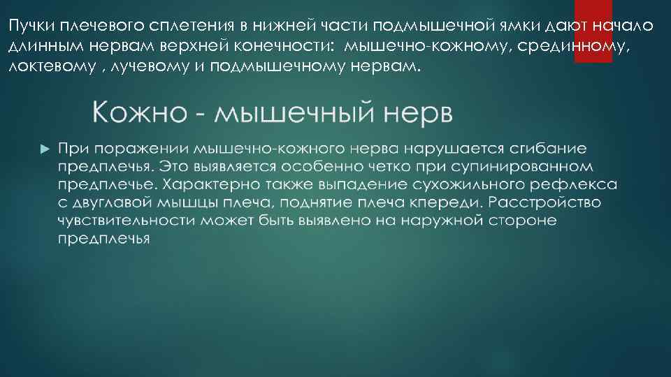 Пучки плечевого сплетения в нижней части подмышечной ямки дают начало длинным нервам верхней конечности: