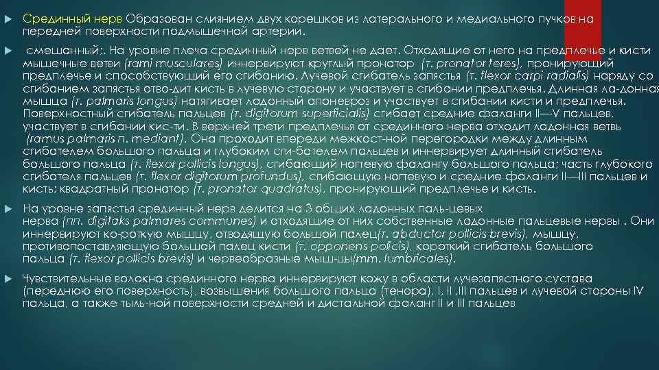  Срединный нерв Образован слиянием двух корешков из латерального и медиального пучков на передней