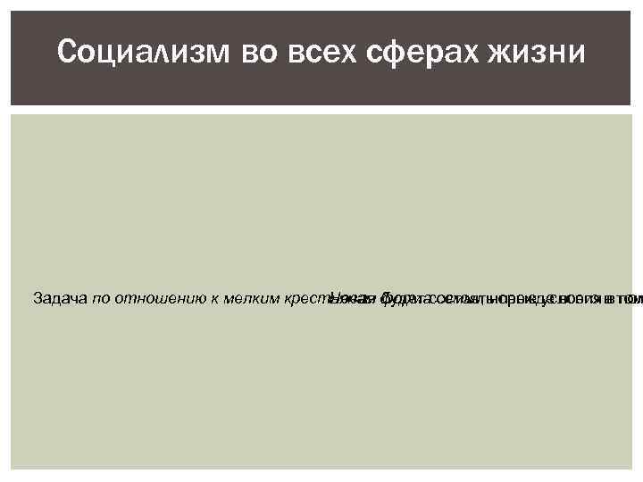 Социализм во всех сферах жизни Задача по отношению к мелким крестьянам будет состоять прежде