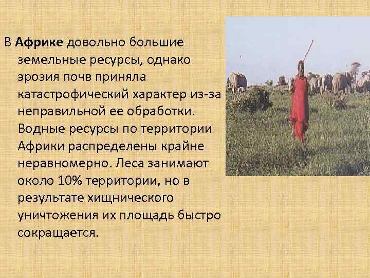  В Африке довольно большие земельные ресурсы, однако эрозия почв приняла катастрофический характер из-за
