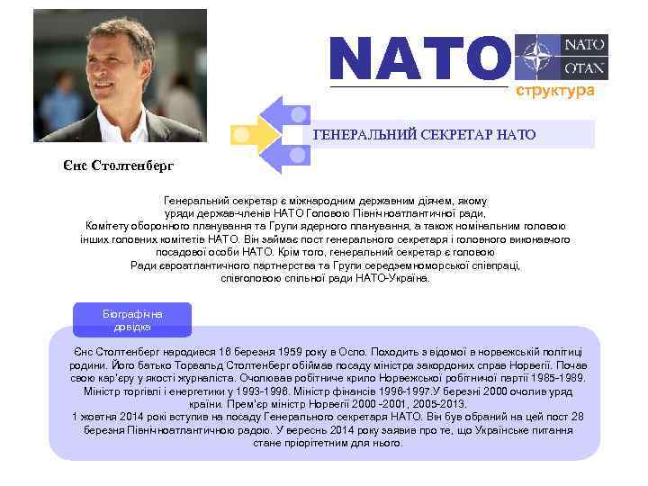 NATO структура ГЕНЕРАЛЬНИЙ СЕКРЕТАР НАТО Єнс Столтенберг Генеральний секретар є міжнародним державним діячем, якому