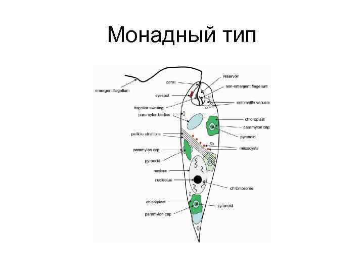 Монадный тип 