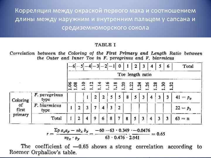 Корреляция между окраской первого маха и соотношением длины между наружним и внутренним пальцем у