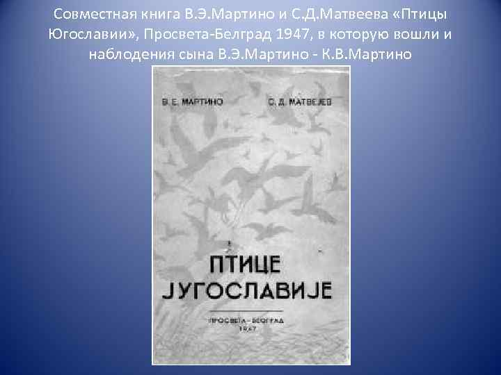 Совместная книга В. Э. Мартино и С. Д. Матвеева «Птицы Югославии» , Просвета-Белград 1947,