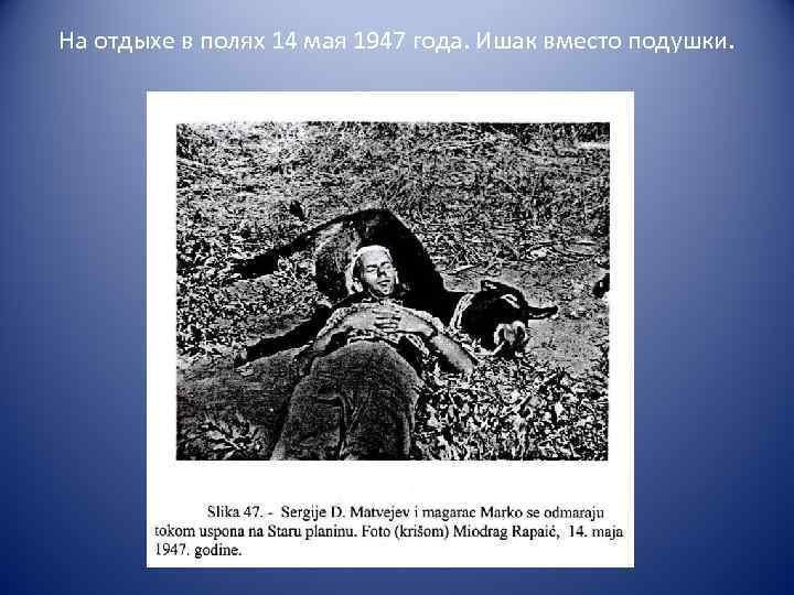 На отдыхе в полях 14 мая 1947 года. Ишак вместо подушки. 