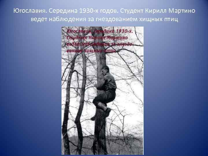 Югославия. Середина 1930 -х годов. Студент Кирилл Мартино ведет наблюдения за гнездованием хищных птиц