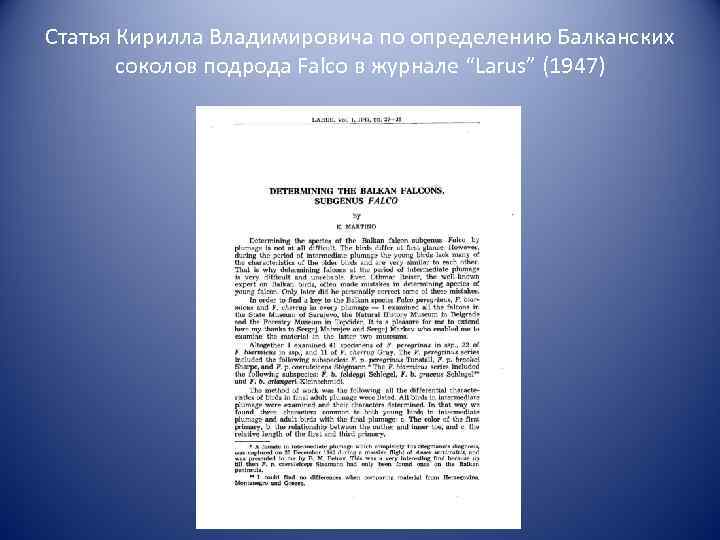 Статья Кирилла Владимировича по определению Балканских соколов подрода Falco в журнале “Larus” (1947) 