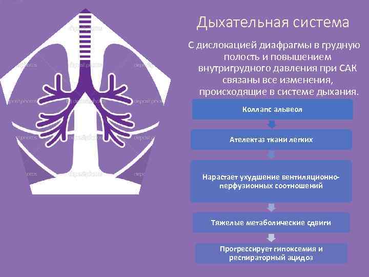 Дыхательная система С дислокацией диафрагмы в грудную полость и повышением внутригрудного давления при САК