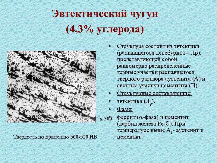 Сколько углерода в чугуне. Эвтектический чугун микроструктура 4,3. Структура эвтектического чугуна. Структура эвтектического белого чугуна. Эвтектический белый чугун.