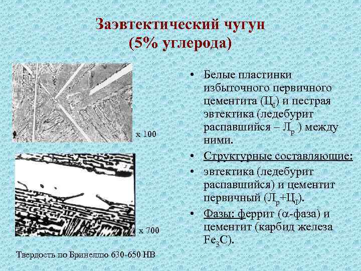 Сколько углерода в чугуне. Структура заэвтектического белого чугуна. Структура заэвтектического чугуна. Структура ледебурит эвтектического чугуна. Доэвтектический белый чугун структура.