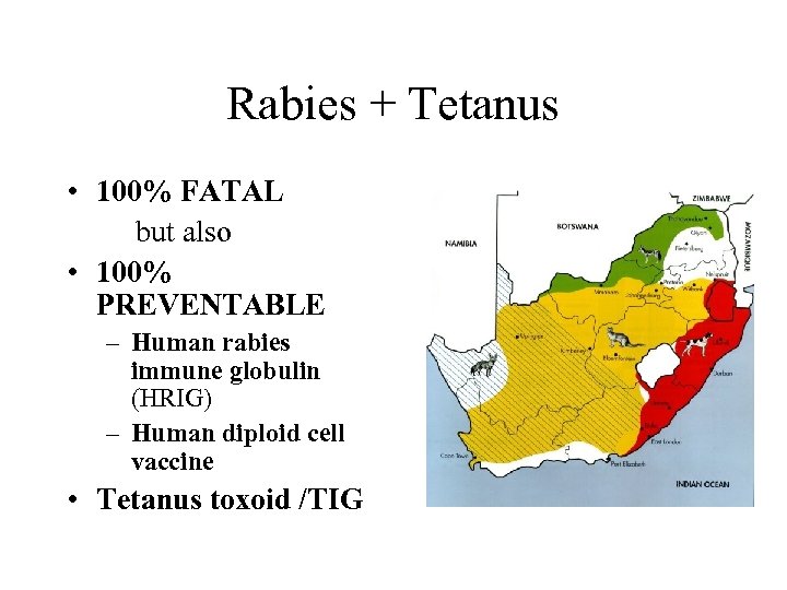 Rabies + Tetanus • 100% FATAL but also • 100% PREVENTABLE – Human rabies