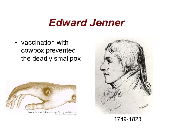 Edward Jenner • vaccination with cowpox prevented the deadly smallpox 1749 -1823 