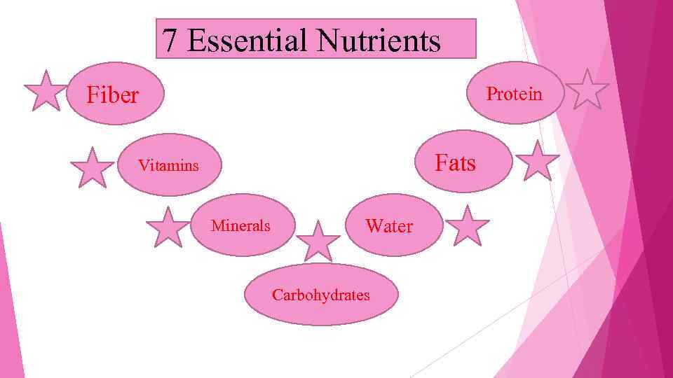 7 Essential Nutrients Fiber Protein Fats Vitamins Minerals Water Carbohydrates 