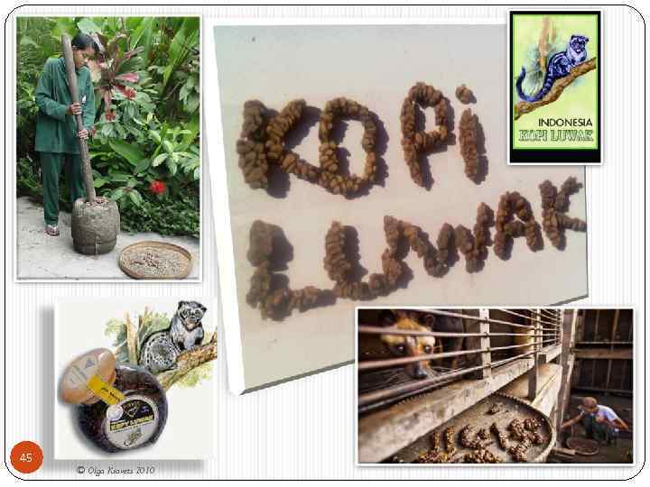 45 © Olga Kravets 2010 