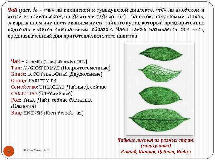 Чай (кит. 茶 - «ча » на пекинском и гуандунском диалекте, «те » на