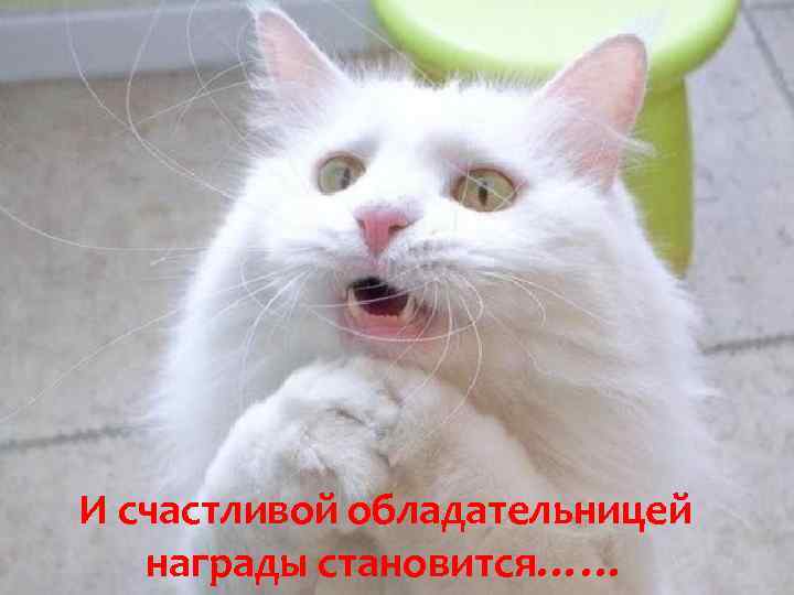И счастливой обладательницей награды становится…… 