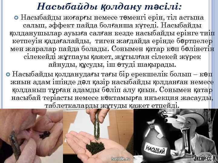 Насыбайды қолдану тәсілі: Насыбайды жоғарғы немесе төменгі ерін, тіл астына салып, эффект пайда болғанша