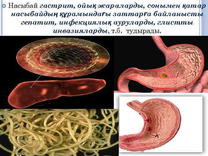  Насыбай гастрит, ойық жараларды, сонымен қатар насыбайдың құрамындағы заттарға байланысты гепатит, инфекциялық ауруларды,