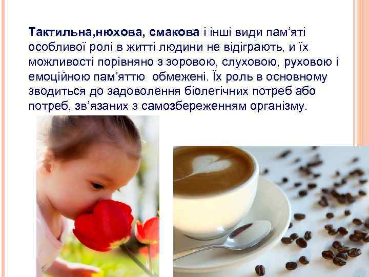 Тактильна, нюхова, смакова і інші види пам’яті особливої ролі в житті людини не відіграють,