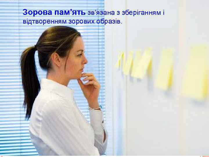 Зорова пам’ять зв’язана з зберіганням і відтворенням зорових образів. 