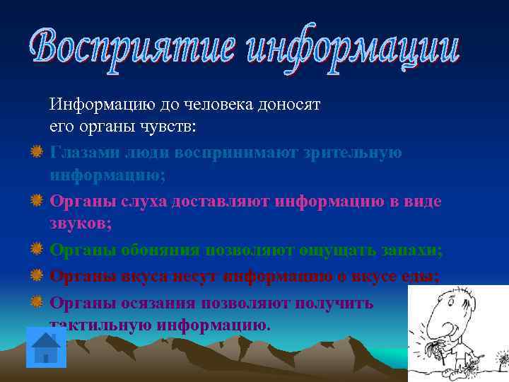 Информацию до человека доносят его органы чувств: Глазами люди воспринимают зрительную информацию; Органы слуха