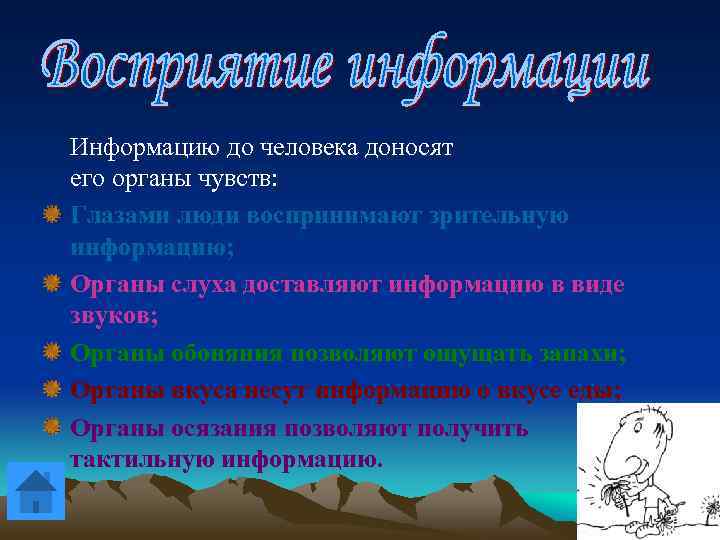 Информацию до человека доносят его органы чувств: Глазами люди воспринимают зрительную информацию; Органы слуха