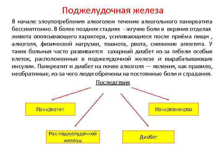 Поджелудочная железа В начале злоупотребления алкоголем течение алкогольного панкреатита бессимптомно. В более поздних стадиях