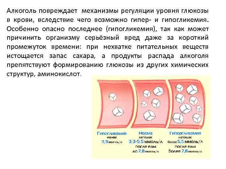 Алкоголь повреждает механизмы регуляции уровня глюкозы в крови, вследствие чего возможно гипер- и гипогликемия.