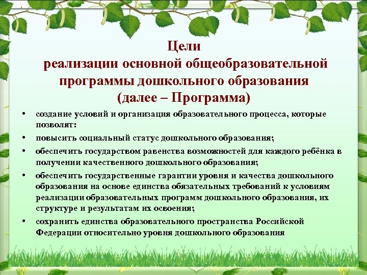 Цель образовательной программы. Реализация основной общеобразовательной программы. Презентация основной общеобразовательной программы. Цель реализации образовательной программы. Реализация образовательных программ дошкольного образования.