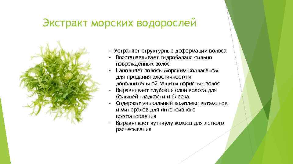 Экстракт морских водорослей - Устраняет структурные деформации волоса - Восстанавливает гидробаланс сильно поврежденных волос