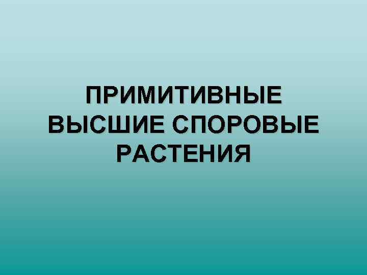 ПРИМИТИВНЫЕ ВЫСШИЕ СПОРОВЫЕ РАСТЕНИЯ 