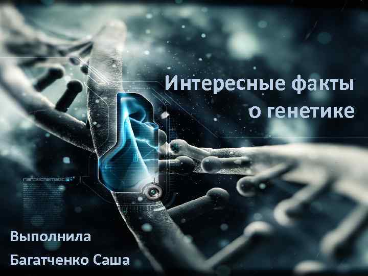 Интересные факты о генетике Выполнила Багатченко Саша 