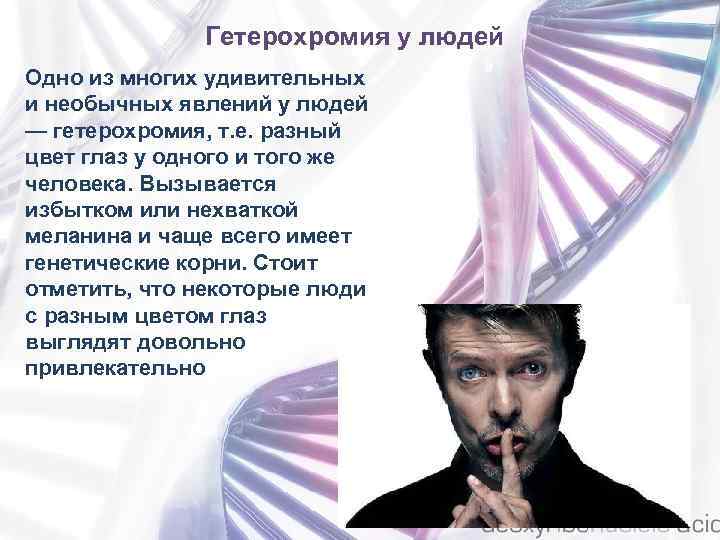 Удивительные факты из генетики проект по обществознанию 6 класс