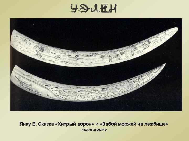 Янку Е. Сказка «Хитрый ворон» и «Забой моржей на лежбище» клык моржа 