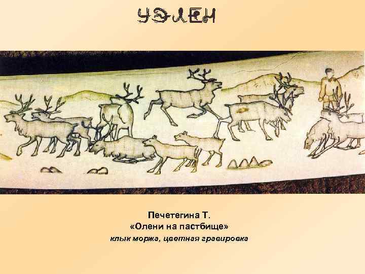 Печетегина Т. «Олени на пастбище» клык моржа, цветная гравировка 