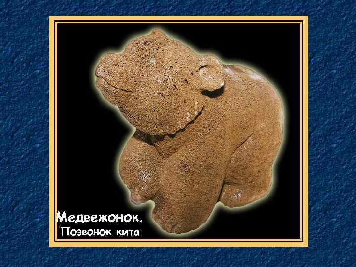 Медвежонок. Позвонок кита 