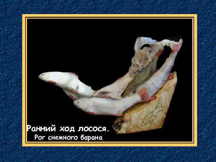 Ранний ход лосося. Рог снежного барана 