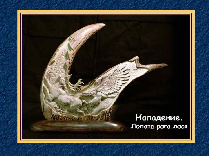 Нападение. Лопата рога лося 