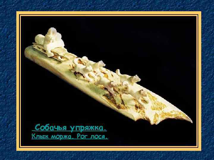  Собачья упряжка. Клык моржа. Рог лося. 