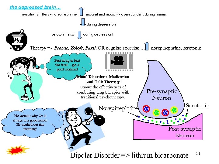 the depressed brain… neurotransmitters - norepinephrine arousal and mood => overabundant during mania, during