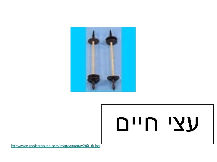  עצי חיים http: //www. shalomhouse. com/images/prod/w 250_th. jpg 