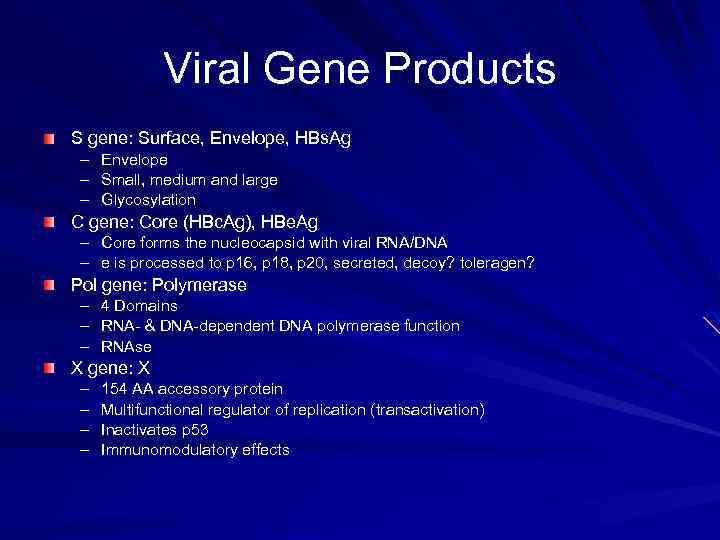 Viral Gene Products S gene: Surface, Envelope, HBs. Ag – Envelope – Small, medium