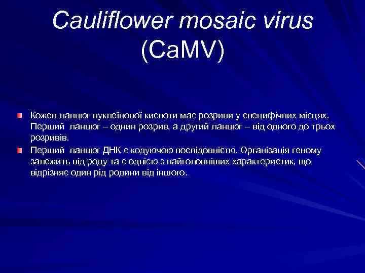 Cauliflower mosaic virus (Ca. MV) Кожен ланцюг нуклеїнової кислоти має розриви у специфічних місцях.