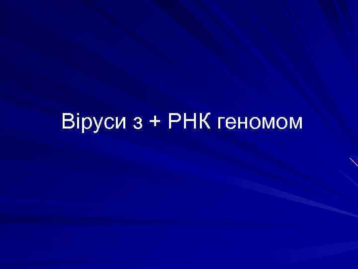 Віруси з + РНК геномом 