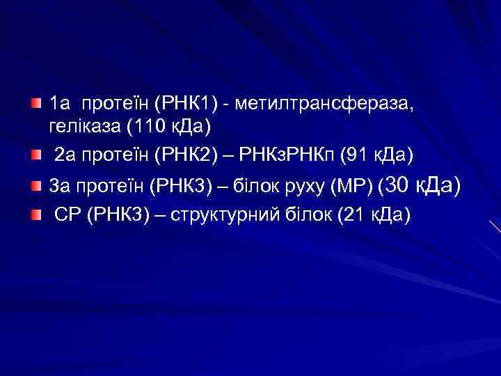 1 а протеїн (РНК 1) - метилтрансфераза, геліказа (110 к. Да) 2 а протеїн