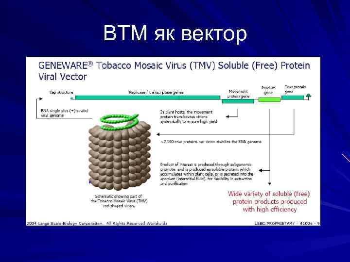 ВТМ як вектор 