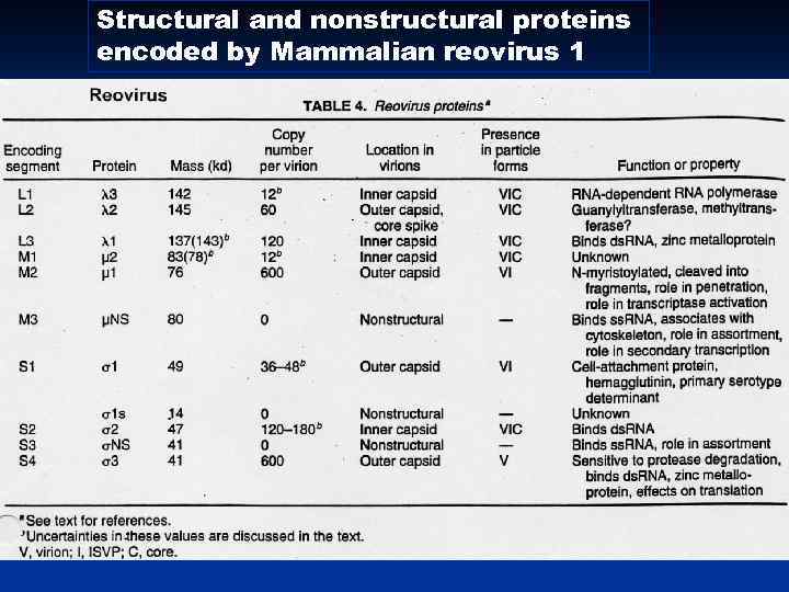 Structural and nonstructural proteins encoded by Mammalian reovirus 1 