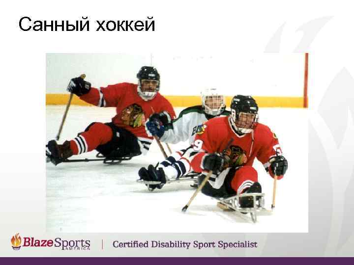 Санный хоккей 